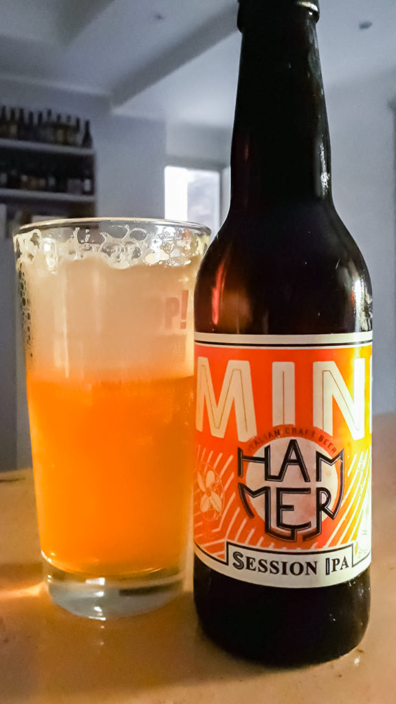 Mini - Session Ipa